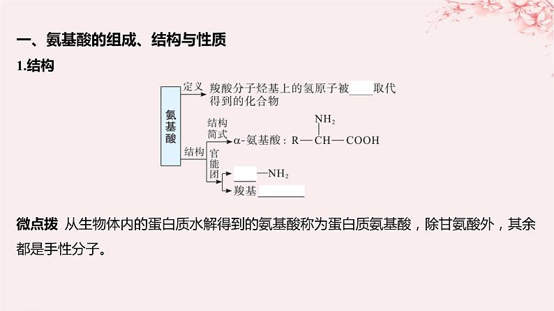 江苏专用2023_2024学年新教材高中化学专题6生命活动的物质基础__糖类油脂蛋白质第二单元蛋白质第一课时氨基酸蛋白质课件苏教版选择性必修3第5页