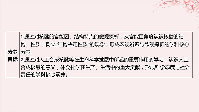 江苏专用2023_2024学年新教材高中化学专题6生命活动的物质基础__糖类油脂蛋白质第二单元蛋白质第二课时核酸的结构及生物功能课件苏教版选择性必修303