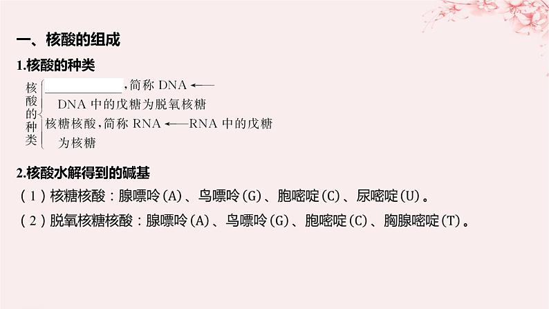 江苏专用2023_2024学年新教材高中化学专题6生命活动的物质基础__糖类油脂蛋白质第二单元蛋白质第二课时核酸的结构及生物功能课件苏教版选择性必修305