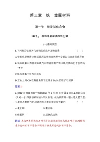 高中化学人教版 (2019)必修 第一册第三章 铁 金属材料第一节 铁及其化合物课时作业