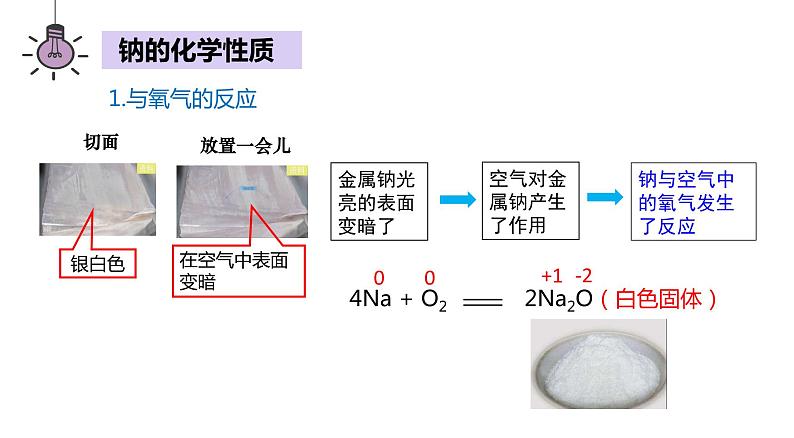 第二章 第一节 钠及其化合物 第一课时 课件  2023-2024学年高一上学期化学人教版（2019）必修第一册第8页