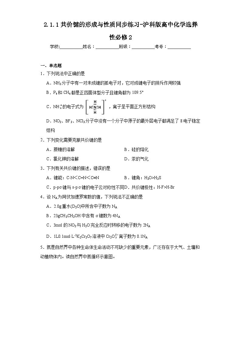 2.1.1共价键的形成与性质同步练习-沪科版高中化学选择性必修201