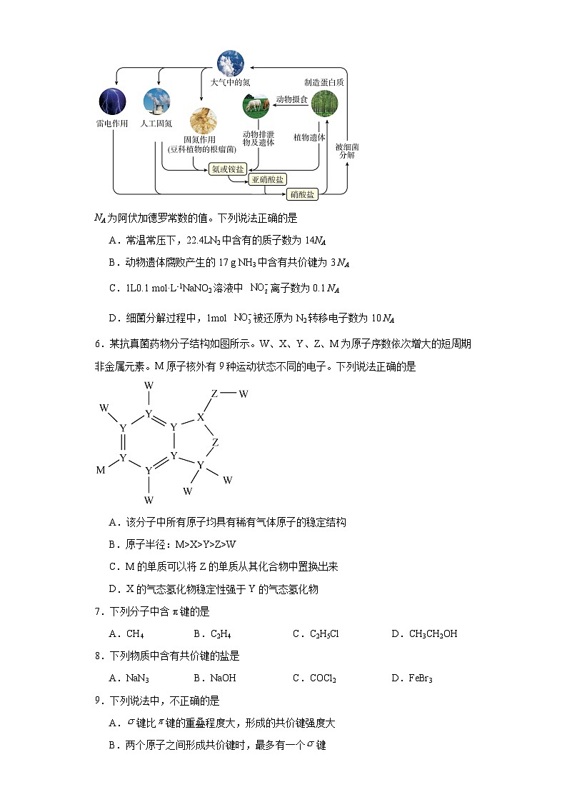 2.1.1共价键的形成与性质同步练习-沪科版高中化学选择性必修202