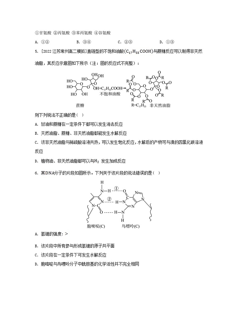 江苏专版2023_2024学年新教材高中化学专题6生命活动的物质基础__糖类油脂蛋白质测评苏教版选择性必修302
