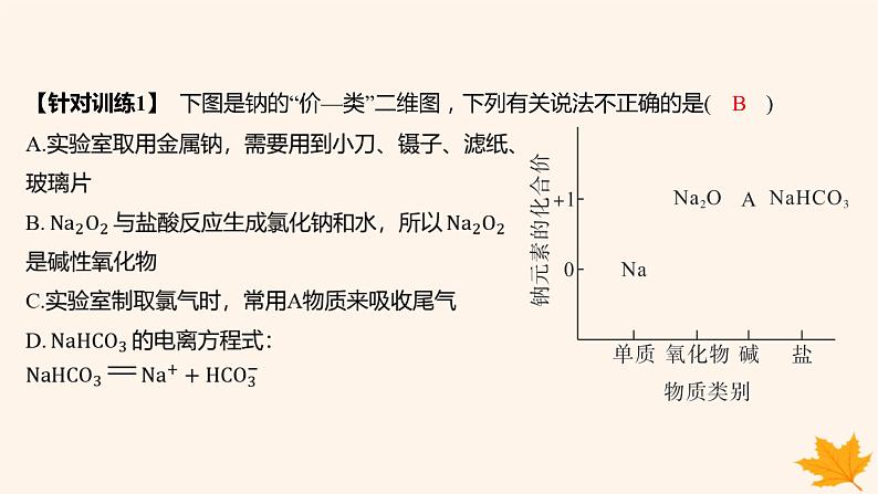 江苏专版2023_2024学年新教材高中化学第二章海水中的重要元素__钠和氯章末复习课课件新人教版必修第一册第5页