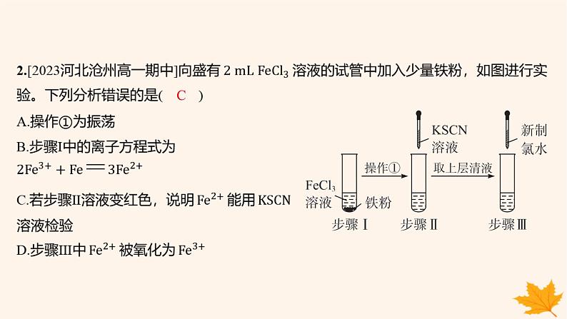 江苏专版2023_2024学年新教材高中化学第三章铁金属材料第一节铁及其化合物第二课时铁的氢氧化物铁盐和亚铁盐分层作业课件新人教版必修第一册02