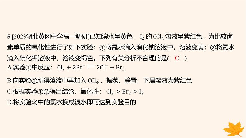 江苏专版2023_2024学年新教材高中化学第四章物质结构元素周期律第一节原子结构与元素周期表第三课时原子结构与元素的性质分层作业课件新人教版必修第一册06