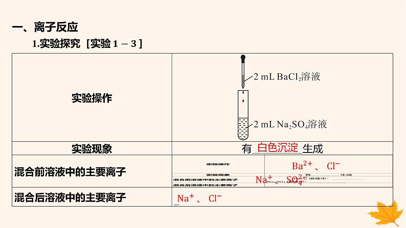 江苏专版2023_2024学年新教材高中化学第一章物质及其变化第二节离子反应第二课时离子反应课件新人教版必修第一册05