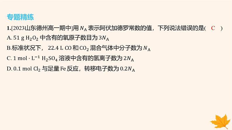 江苏专版2023_2024学年新教材高中化学第二章海水中的重要元素__钠和氯微专题4阿伏加德罗常数及计算课件新人教版必修第一册第6页