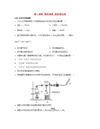 高中人教版 (2019)第一节 铁及其化合物第一课时同步测试题