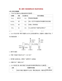 人教版 (2019)必修 第一册第一节 铁及其化合物第二课时同步训练题