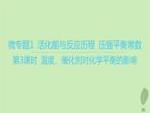 江蘇專版2023_2024學(xué)年新教材高中化學(xué)第二章化學(xué)反應(yīng)速率與化學(xué)平衡微專題1活化能與反應(yīng)歷程壓強(qiáng)平衡常數(shù)第三課時(shí)溫度催化劑對(duì)化學(xué)平衡的影響課件新人教版選擇性必修1