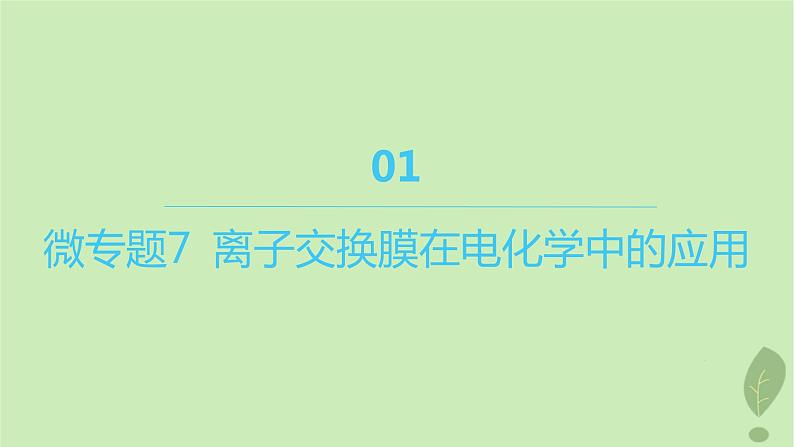 江苏专版2023_2024学年新教材高中化学第四章化学反应与电能微专题7离子交换膜在电化学中的应用课件新人教版选择性必修101