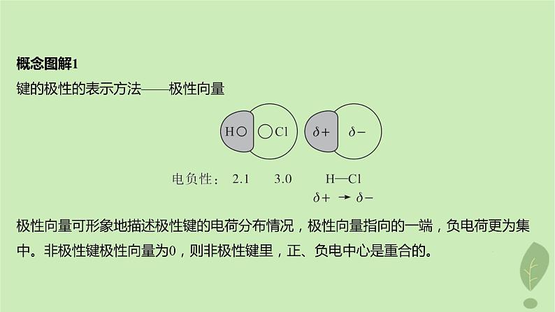 江苏专版2023_2024学年新教材高中化学第二章分子结构与性质第三节分子结构与物质的性质第一课时共价键的极性课件新人教版选择性必修2第8页