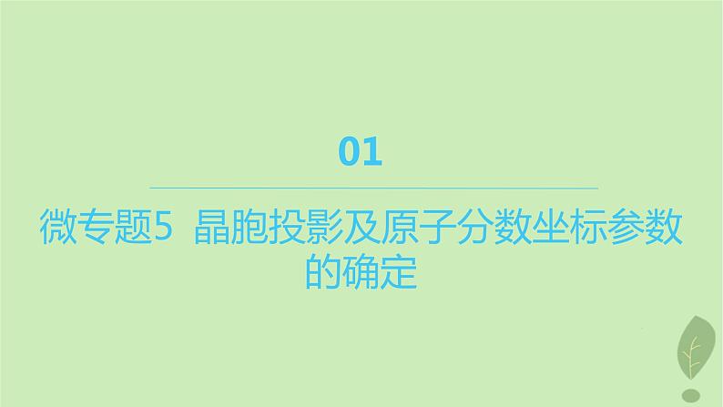 江苏专版2023_2024学年新教材高中化学第三章晶体结构与性质微专题5晶胞投影及原子分数坐标参数的确定课件新人教版选择性必修201