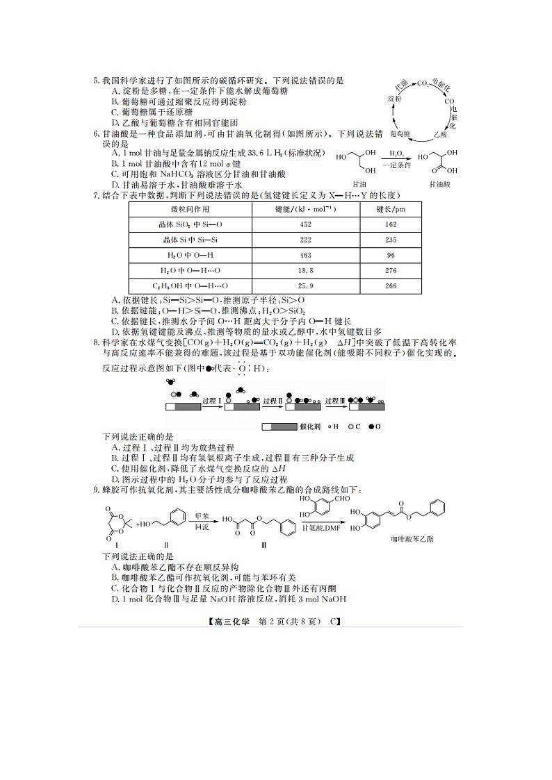 2024山东省金科大联考高三上学期9月质量检测化学试题无答案02