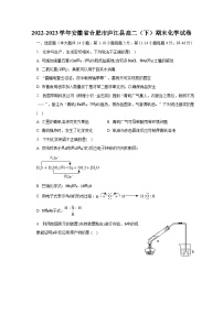 2022-2023学年安徽省合肥市庐江县高二（下）期末化学试卷（含解析）