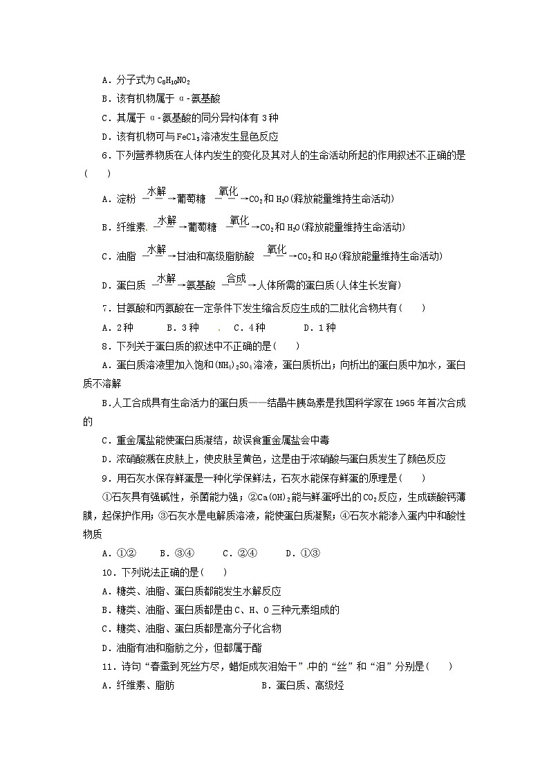 2022年高中化学选修1寒假每日一练（含答案）：03生命的基础--蛋白质02