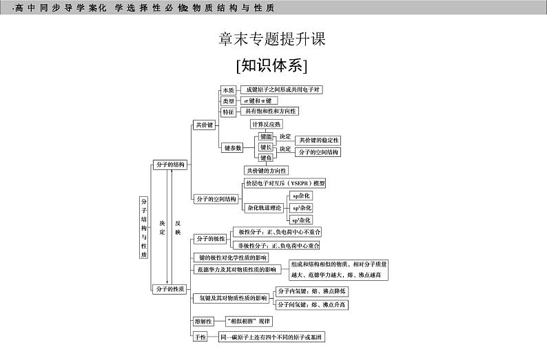 高中化学选择性必修2（人教版2019） 第二章 章末专题提升课03