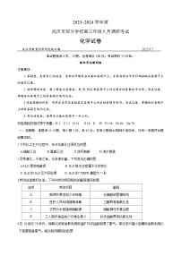 湖北省武汉市部分学校2023-2024学年高三化学上学期9月调研考试试卷（Word版附答案）