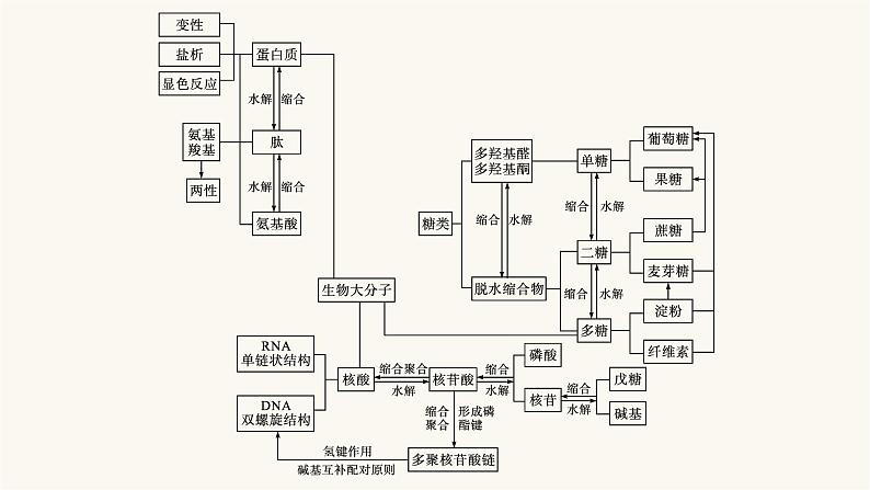 人教版高中化学选择性必修3有机化学基础第四章本章整合课件第4页