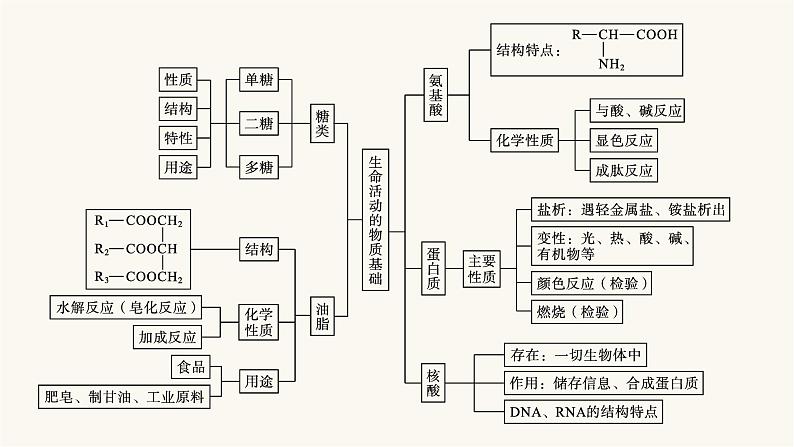 苏教版高中化学选择性必修3有机化学基础专题6整合课件04