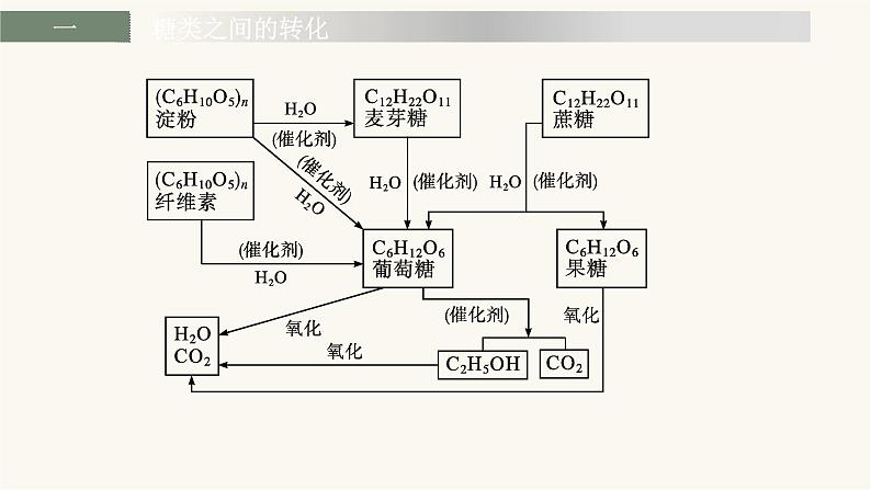 苏教版高中化学选择性必修3有机化学基础专题6整合课件06