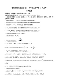 湖南省衡阳市雁峰区2023-2024学年高三上学期10月月考化学试题（Word版含答案）