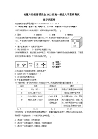 2024安徽省六校教育研究会高一上学期新生入学素质测试化学无答案