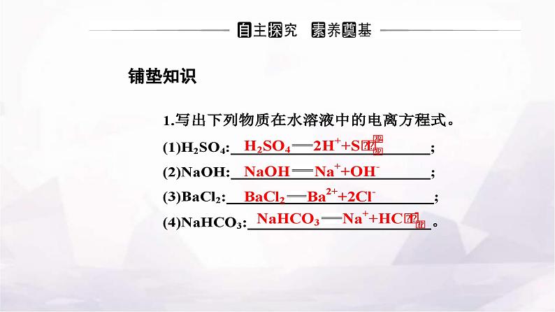 人教版高中化学必修第一册第一章第二节课时2离子反应课件03