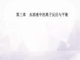 人教版高中化学选择性必修1第三章第三节课时2溶液中粒子浓度的大小关系课件