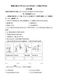 山东省聊城市重点中学2023-2024学年高一上学期开学考试化学试题（原卷版+解析版）