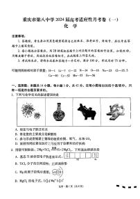 2024重庆市八中高三上学期高考适应性月考（一）化学PDF版含解析