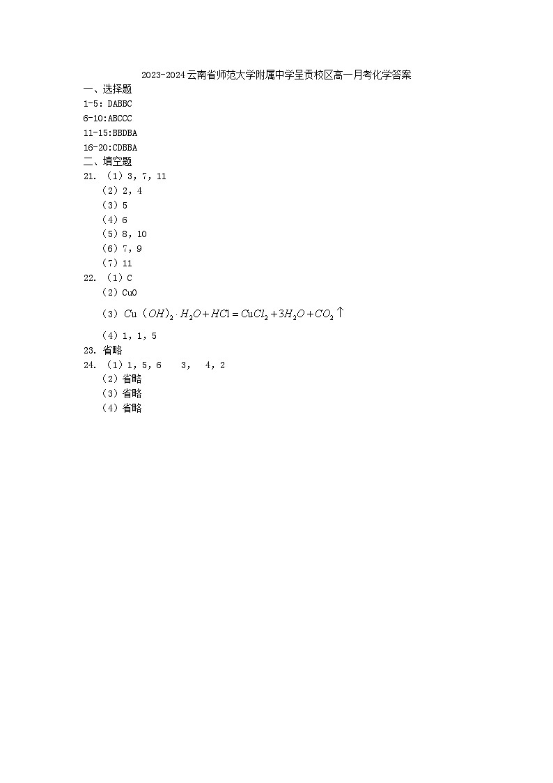 云南省昆明市云大附中呈贡校区2023-2024学年高一上学期10月月考（一）化学答案第1页