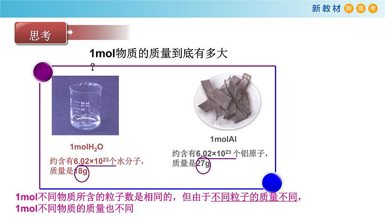 高一化学同步教学课堂 人教版2019必修第一册 2.3.2 摩尔质量课件PPT第2页