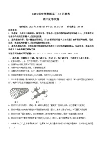 湖北省宜荆荆随2023-2024学年高三化学上学期10月联考试题（Word版附解析）