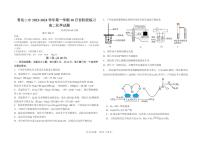 山东省青岛第二中学2023-2024学年高二上学期10月月考化学试卷