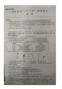 2024江西省稳派联考高三上学期10月统一调研测试化学试题扫描版含答案