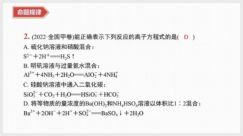 新高考化学二轮复习导学案课件　微主题2　离子反应　氧化还原反应（含解析）05