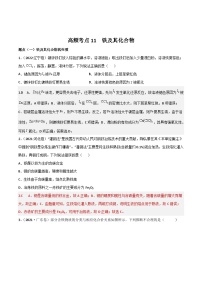 新高考化学二轮复习高频考点11 铁及其化合物（含解析）