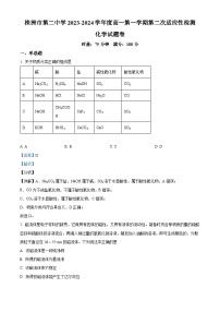 2024株洲二中高一上学期第二次适应性检测化学试题含解析