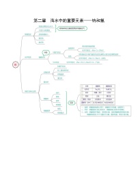 【期中单元知识点归纳】（人教版2019）2023-2024学年高一上学期化学 必修1 第二章 海水中的重要元素——钠和氯试卷.zip