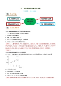 新高考化学二轮复习讲义+分层训练专题10  常见金属及其重要化合物（讲义）（含解析）