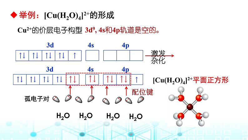 2024届高考化学一轮复习配合物与超分子课件第5页