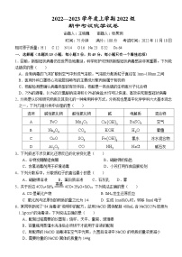 2023荆州沙中学高一上学期11月期中化学试题含答案