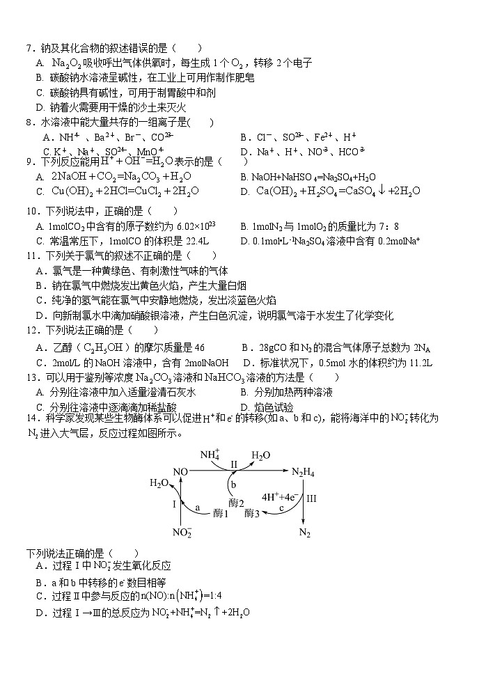 2023荆州沙中学高一上学期11月期中化学试题含答案02