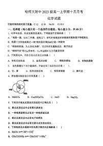 哈尔滨师大附中2023-2024学年高一10月月考化学试卷含答案解析