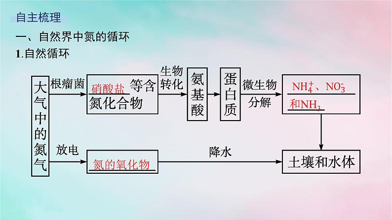 新教材2023_2024学年高中化学第3章物质的性质与转化第3节第1课时自然界中的氮循环氮气和氮的氧化物课件鲁科版必修第一册05