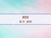 新教材2023_2024学年高中化学第4章生物大分子第2节蛋白质分层作业课件新人教版选择性必修3