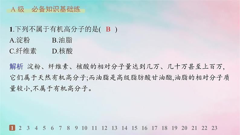 新教材2023_2024学年高中化学第4章生物大分子第3节核酸分层作业课件新人教版选择性必修3第2页